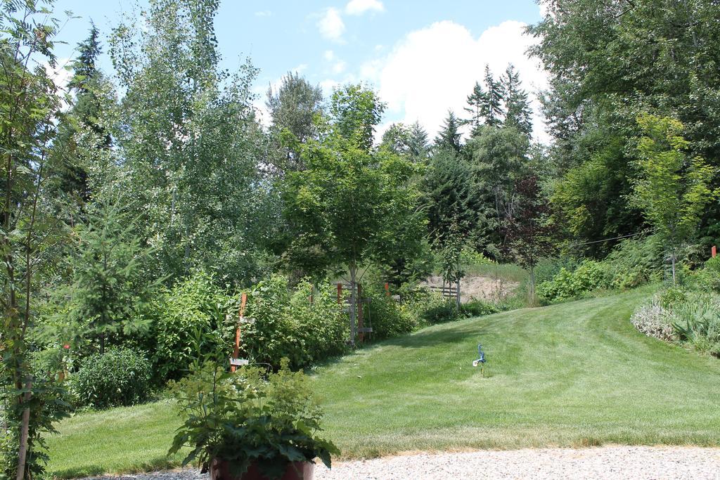 Windborne Bed & Breakfast Castlegar Exterior foto
